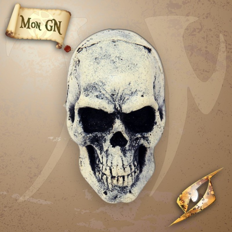 Mini-crâne de jet - Os