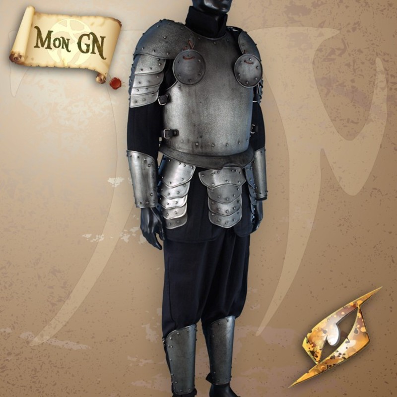 Armure Complète Sombre de...