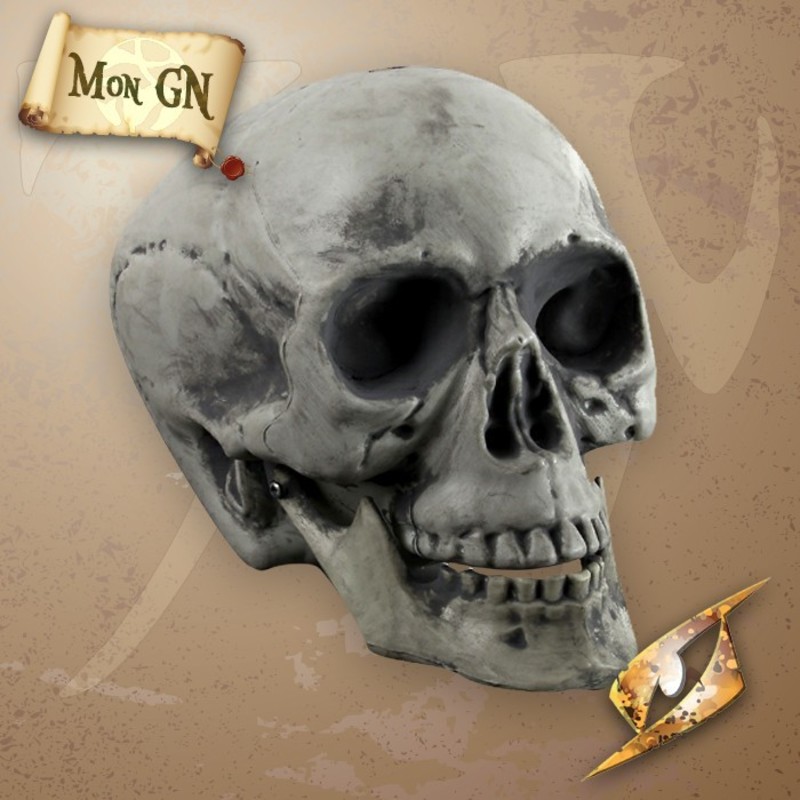  Crâne en plastique - Epic Armoury - vue 1