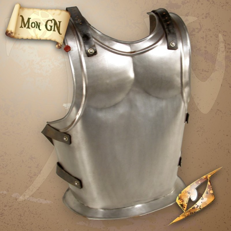  Plaque de dos du Roi - Epic Armoury - vue 2