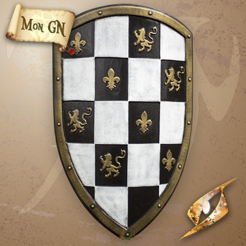 Bouclier à carreaux