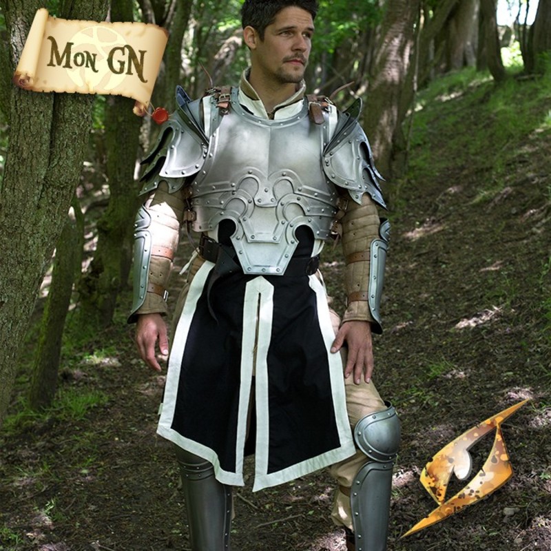 Armure complète du Templier de la Négation - Epic Armoury - vue 2