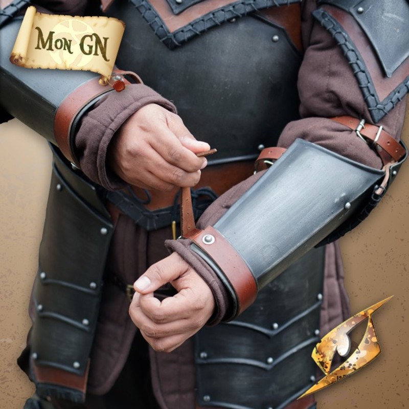 Brassards et coudières du...