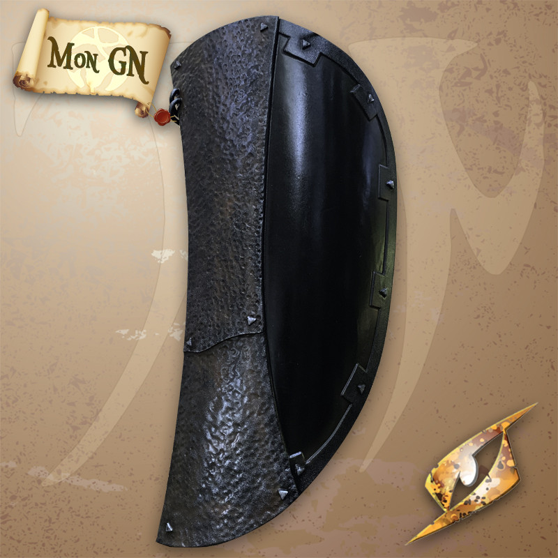 Bouclier Raider Rust