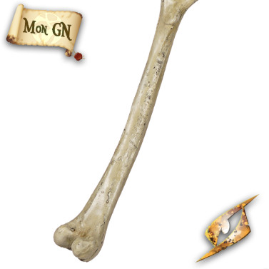  Thigh Bone - Epic Armoury - vue 6