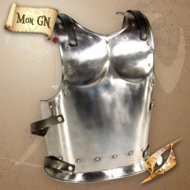  Plaque de dos de Guerrier - Epic Armoury - vue 1