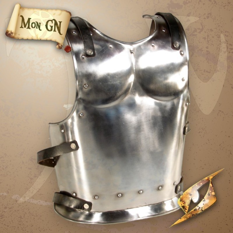  Plaque de dos de Guerrier - Epic Armoury - vue 1