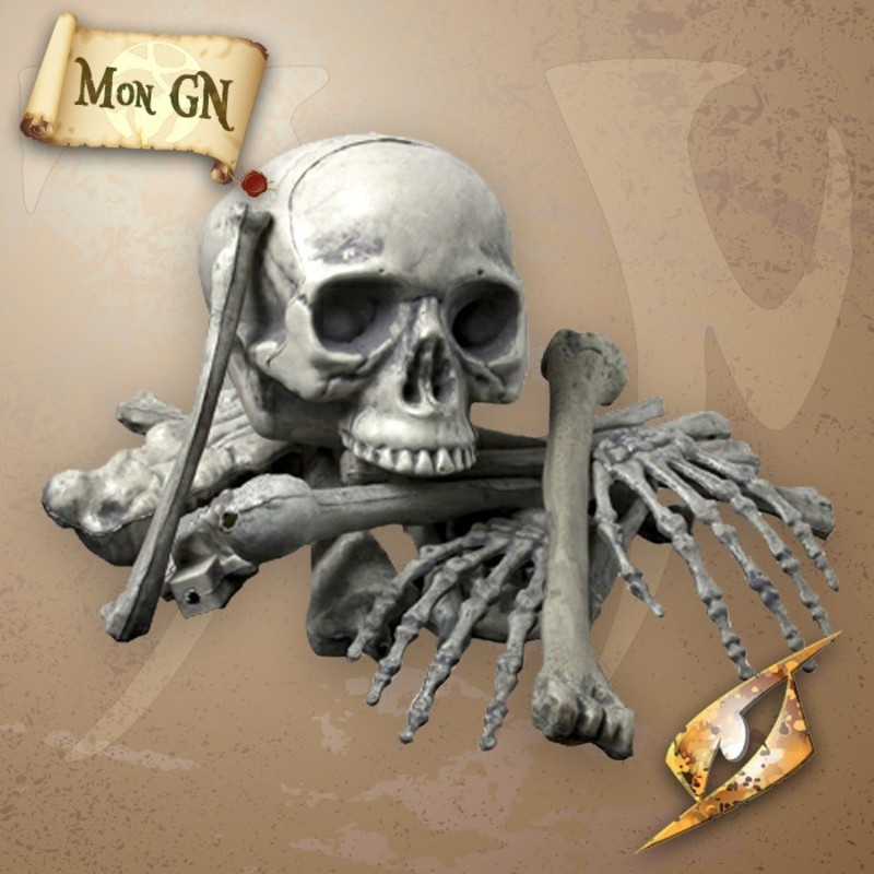  Sac d'os - Epic Armoury - vue 1