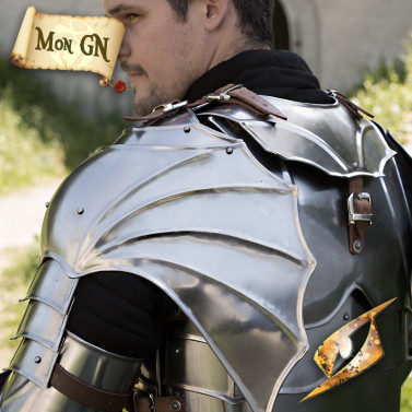 Gorgerin et Spallières Gothiques - vue 2