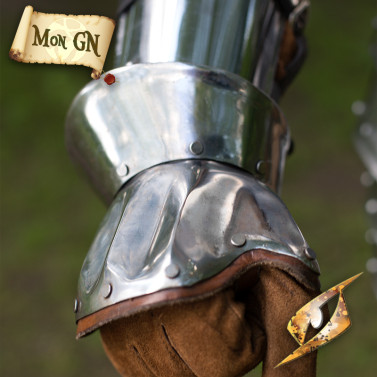 Demi-gantelets - vue 1