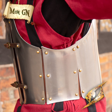 Torse Renégat - vue 7