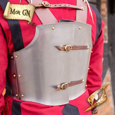 Torse Renégat - vue 8