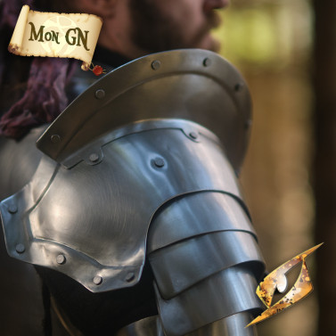 Armure complète du Capitaine - vue 5