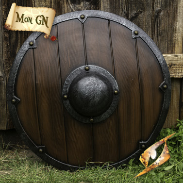 Bouclier Viking - vue 1