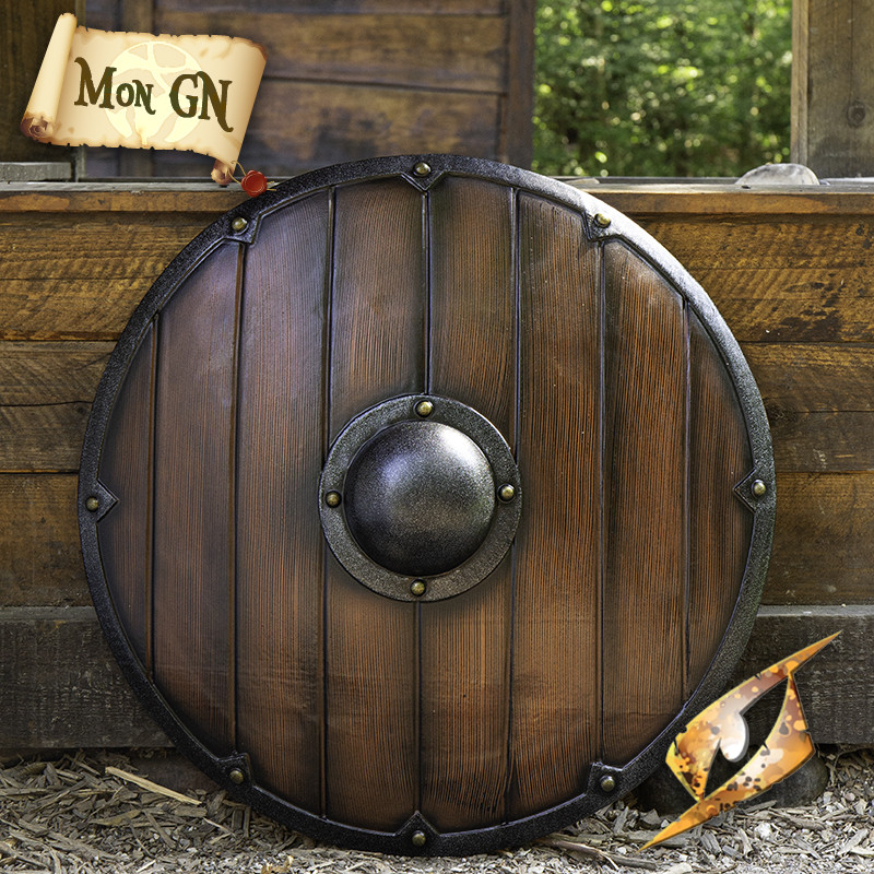 Grand Bouclier Viking - vue 1